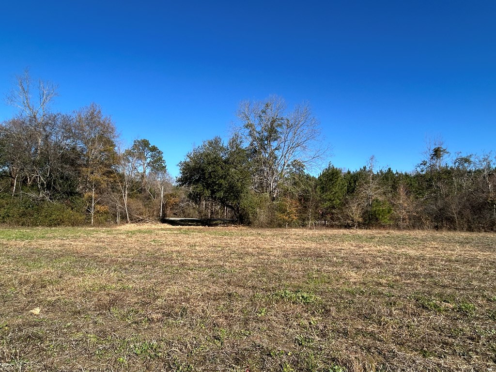 5.296+-ac Lot 1, Willie Varnum Rd, Cottonwood, Alabama image 15