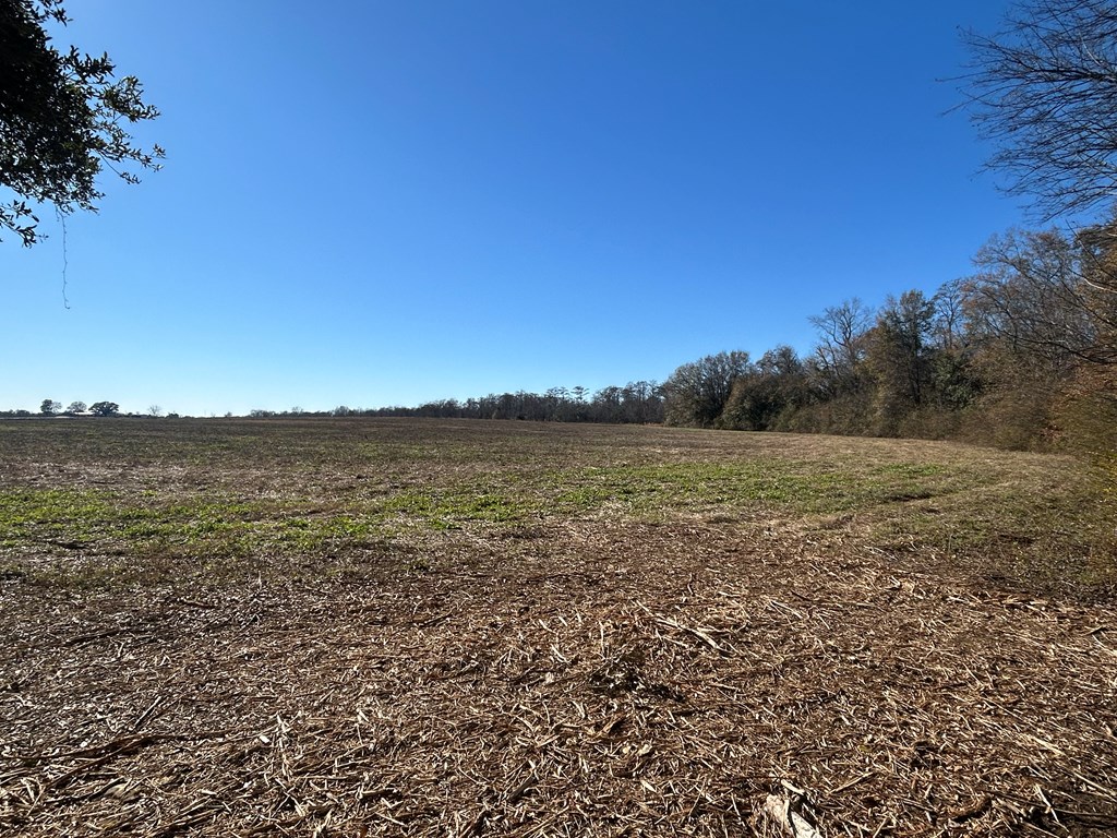 5.296+-ac Lot 1, Willie Varnum Rd, Cottonwood, Alabama image 14