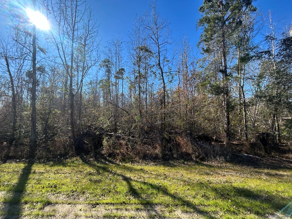 5.296+-ac Lot 1, Willie Varnum Rd, Cottonwood, Alabama image 7