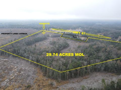 Vacant Land For Sale - 29.74 ACRES Highway 87<br/> Geneva County, Samson, AL 36477
