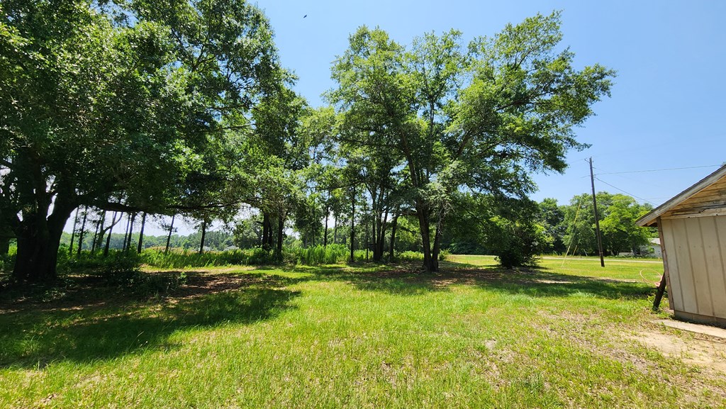 60 Acres Skyline Rd, Geneva, Alabama image 24