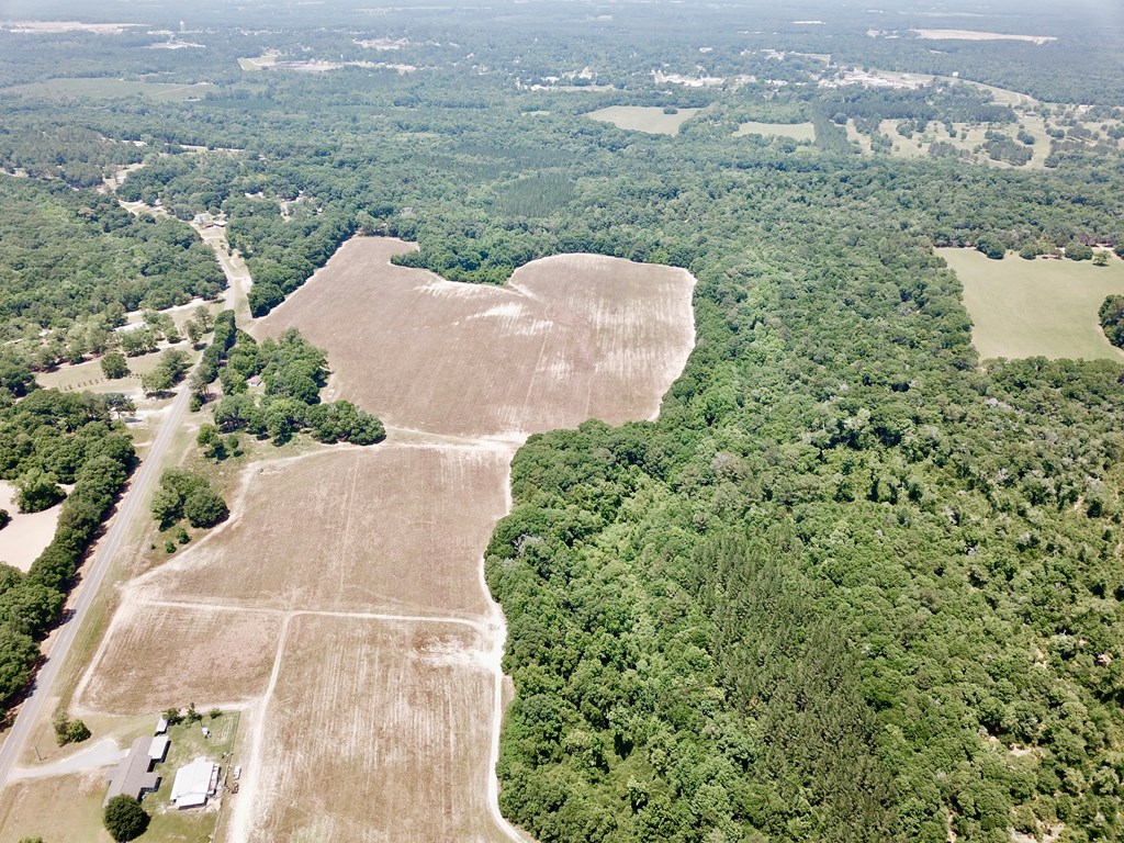 60 Acres Skyline Rd, Geneva, Alabama image 33