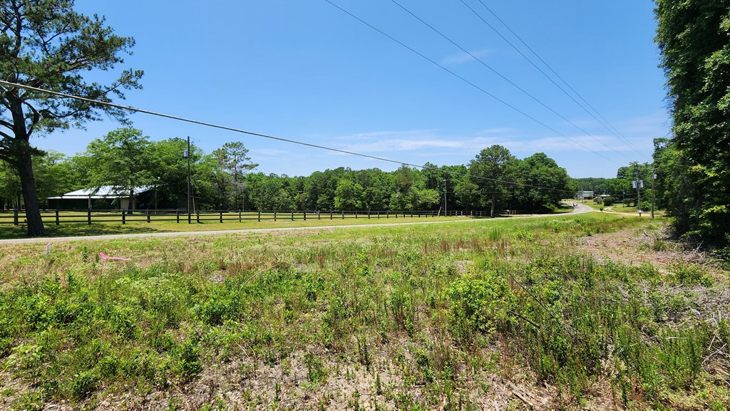 60 Acres Skyline Rd, Geneva, Alabama image 6