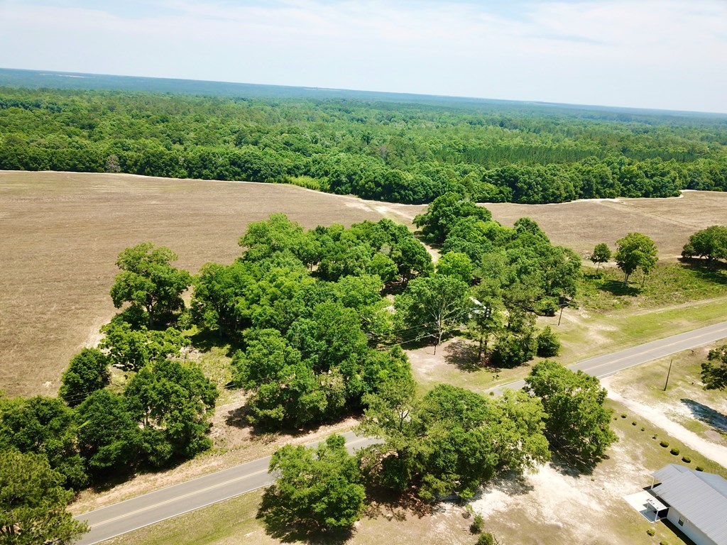 60 Acres Skyline Rd, Geneva, Alabama image 7