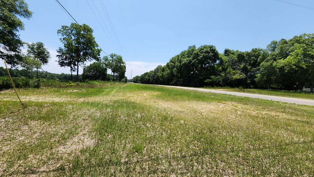 60 Acres Skyline Rd, Geneva, Alabama image 22