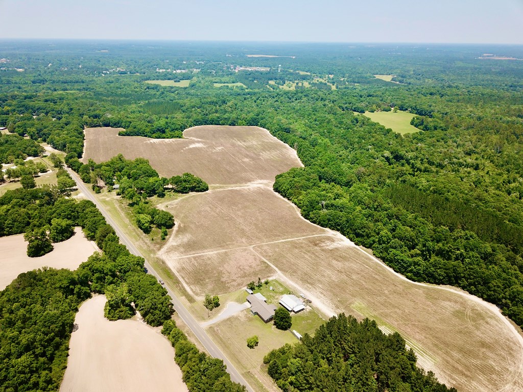 60 Acres Skyline Rd, Geneva, Alabama image 32