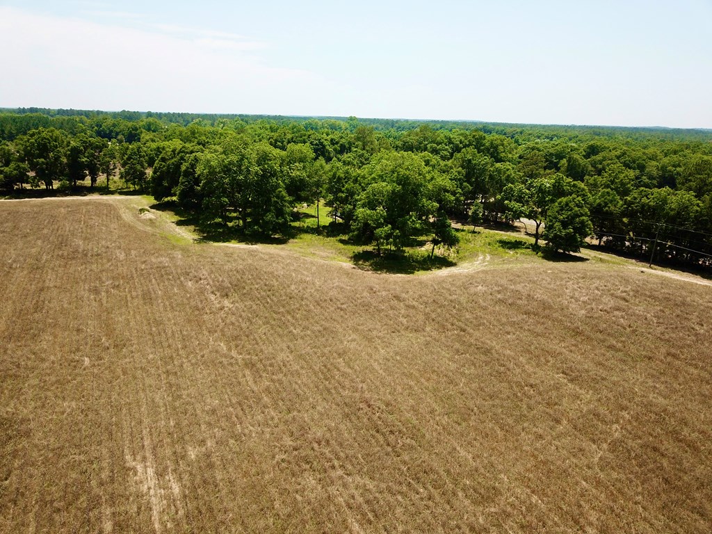 60 Acres Skyline Rd, Geneva, Alabama image 9