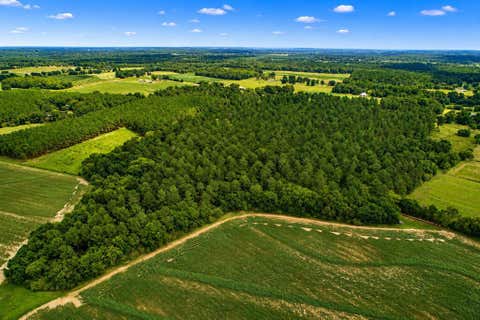 Vacant Land For Sale - County Road 33<br/> Ashford, AL 36312