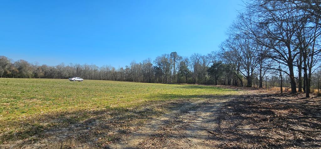 4.9 Acres Grady Garner Rd, Slocomb, Alabama image 9