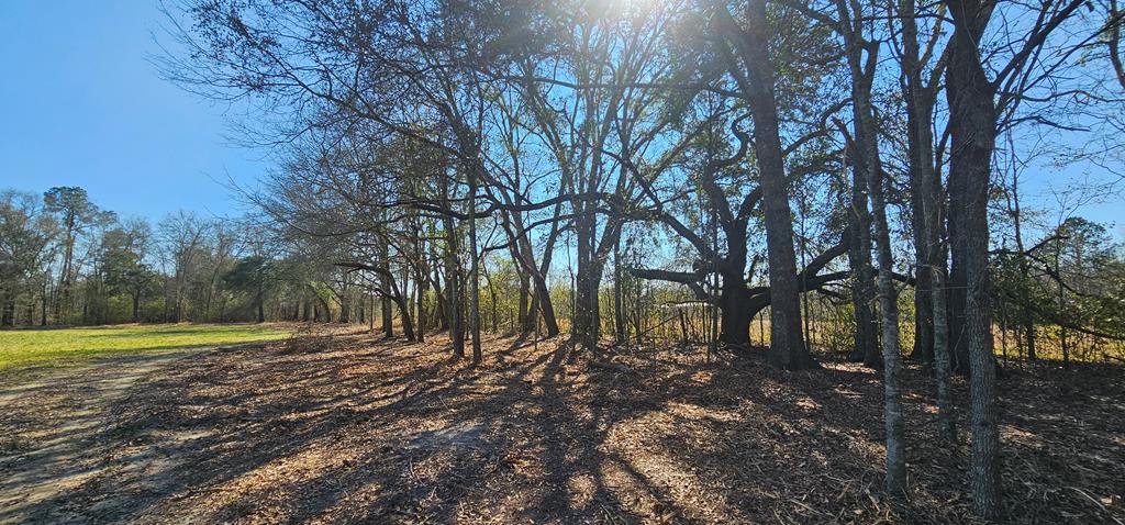 4.9 Acres Grady Garner Rd, Slocomb, Alabama image 7