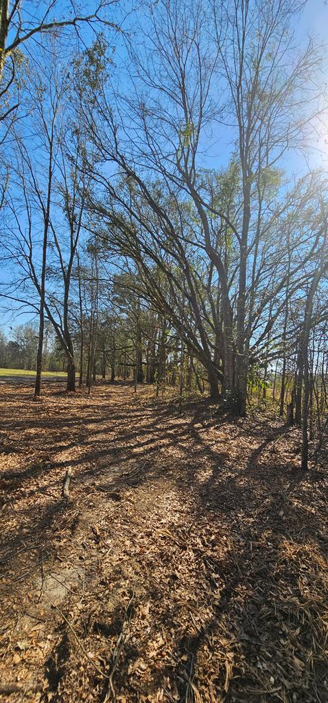 4.9 Acres Grady Garner Rd, Slocomb, Alabama image 33