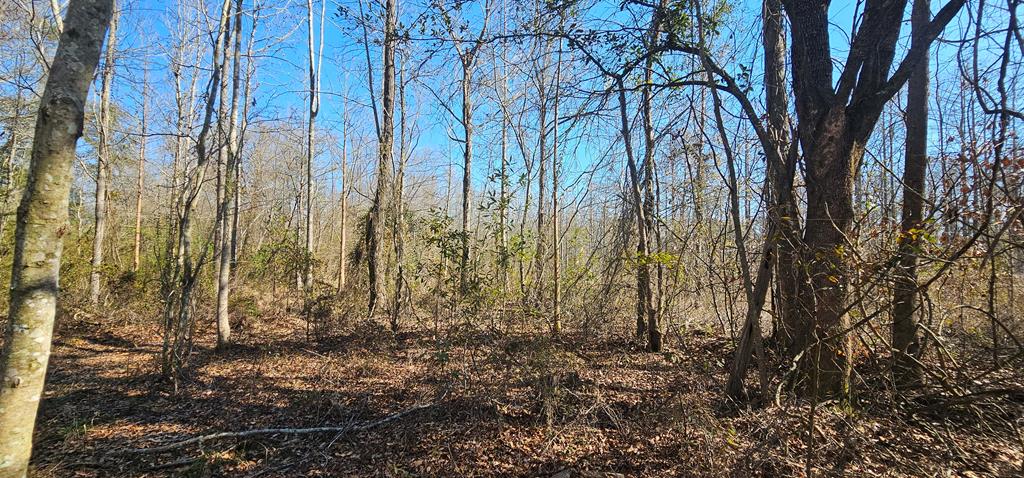 4.9 Acres Grady Garner Rd, Slocomb, Alabama image 27