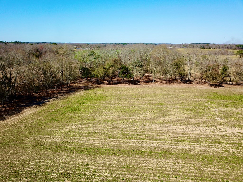 4.9 Acres Grady Garner Rd, Slocomb, Alabama image 12