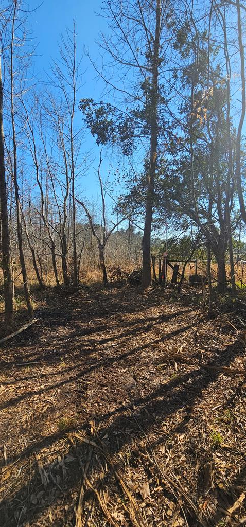 4.9 Acres Grady Garner Rd, Slocomb, Alabama image 36