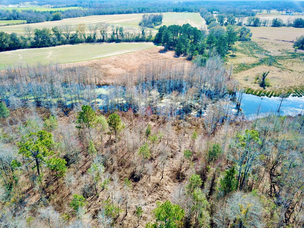 4.9 Acres Grady Garner Rd, Slocomb, Alabama image 42