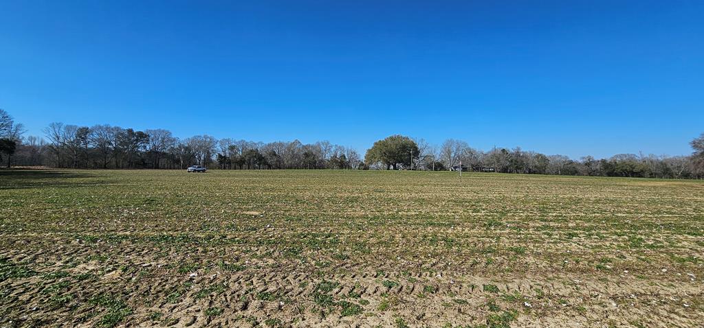 4.9 Acres Grady Garner Rd, Slocomb, Alabama image 13