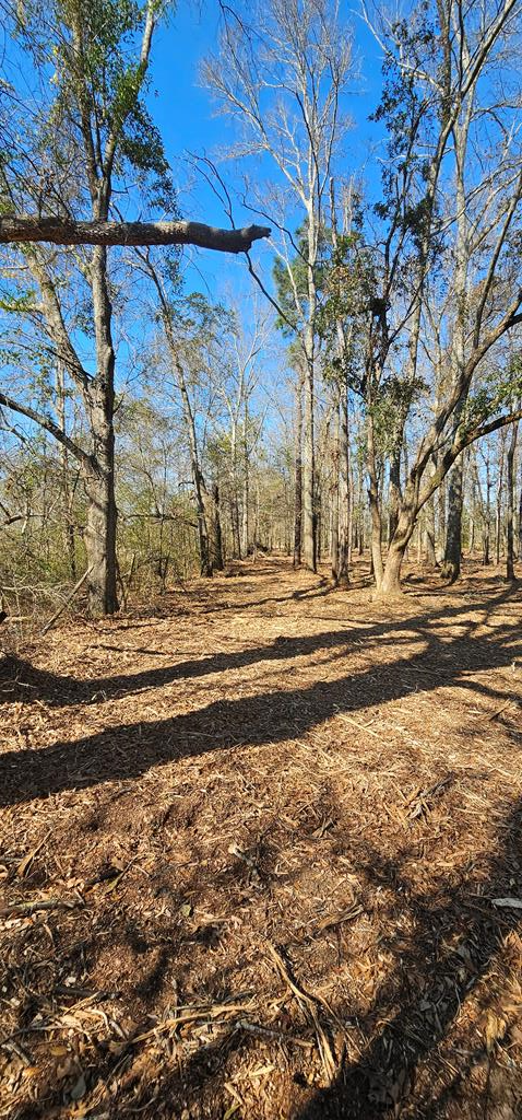 4.9 Acres Grady Garner Rd, Slocomb, Alabama image 31