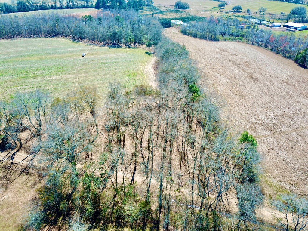 4.9 Acres Grady Garner Rd, Slocomb, Alabama image 40