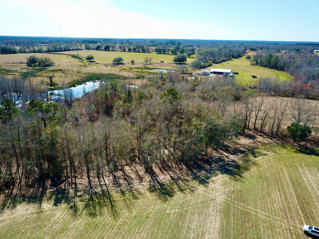 4.9 Acres Grady Garner Rd, Slocomb, Alabama image 43