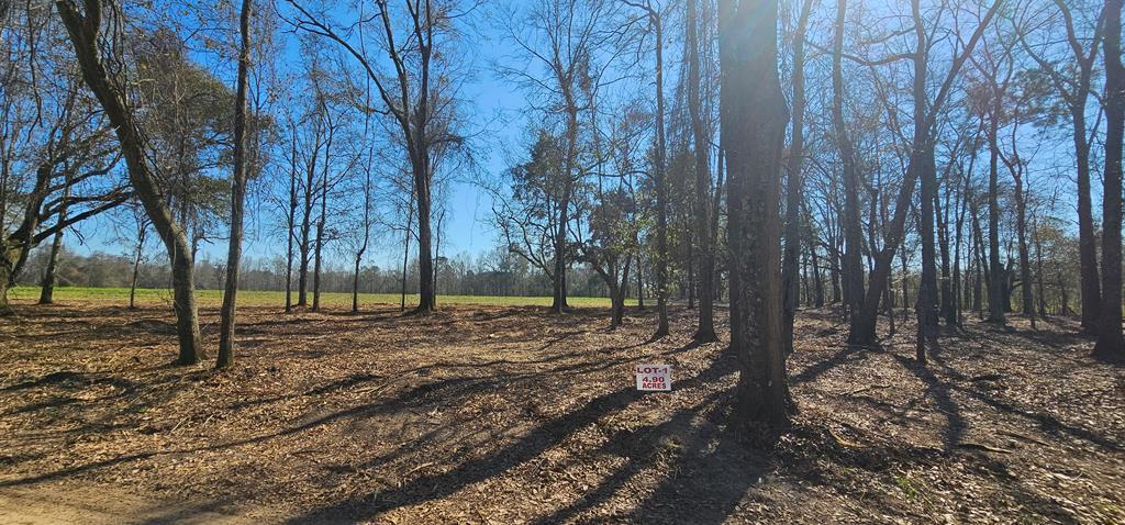 4.9 Acres Grady Garner Rd, Slocomb, Alabama image 2