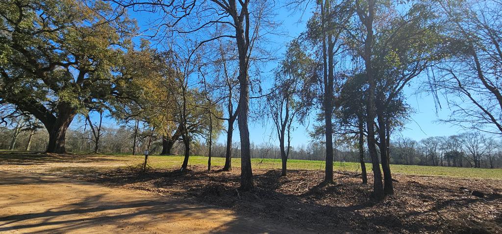 4.9 Acres Grady Garner Rd, Slocomb, Alabama image 15