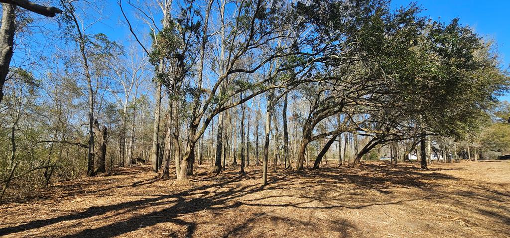 4.9 Acres Grady Garner Rd, Slocomb, Alabama image 5