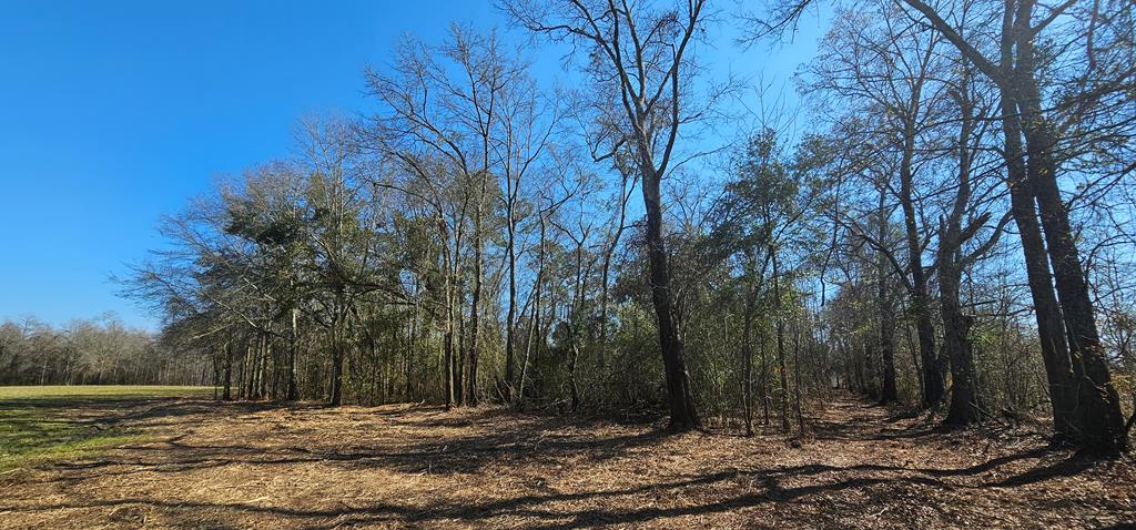 4.9 Acres Grady Garner Rd, Slocomb, Alabama image 14