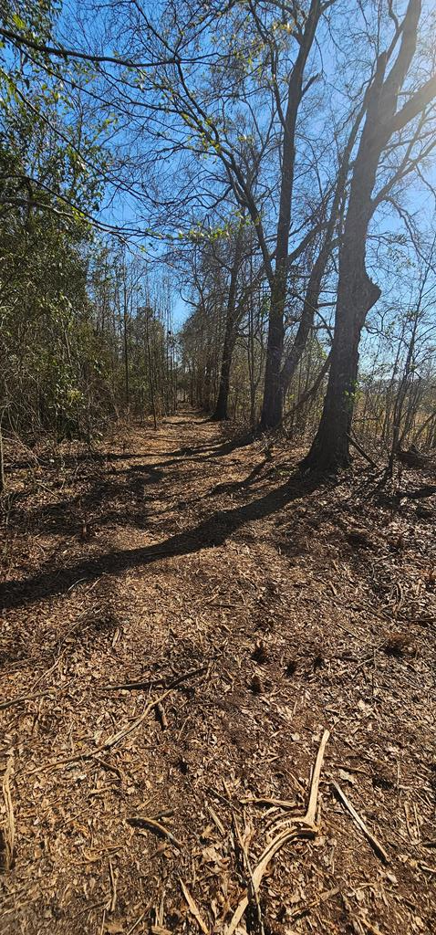 4.9 Acres Grady Garner Rd, Slocomb, Alabama image 22