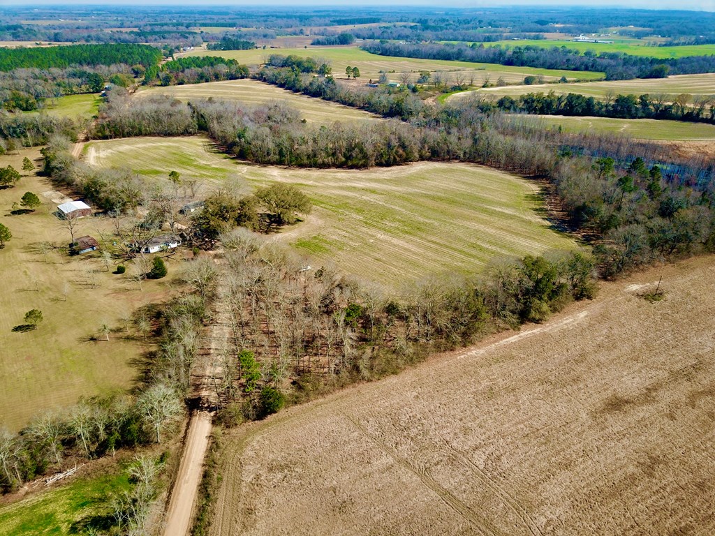 4.9 Acres Grady Garner Rd, Slocomb, Alabama image 50