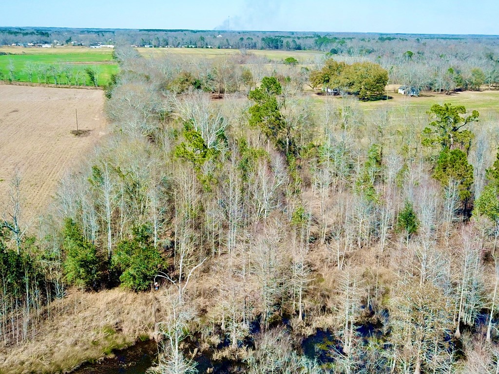 4.9 Acres Grady Garner Rd, Slocomb, Alabama image 44