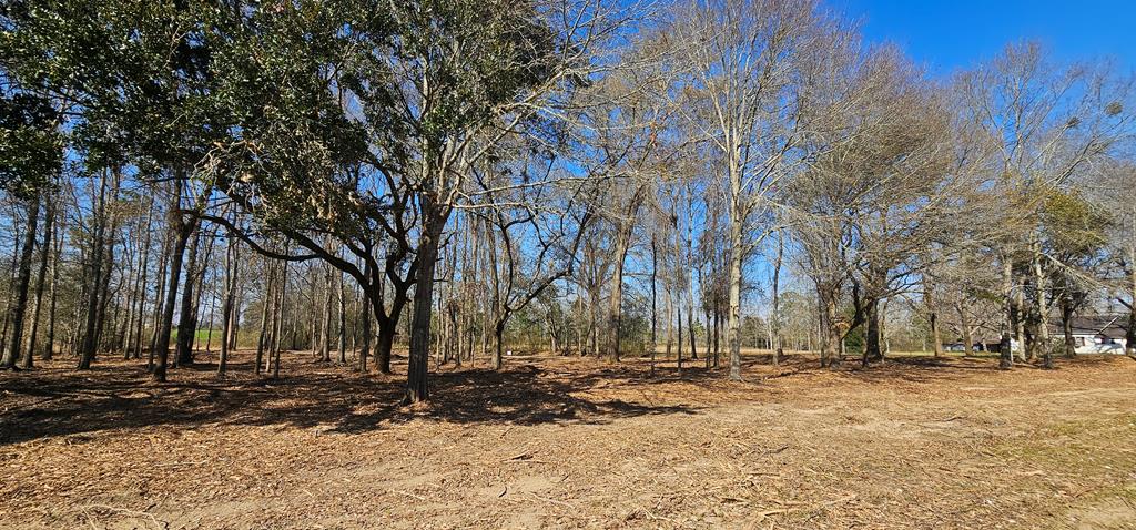 4.9 Acres Grady Garner Rd, Slocomb, Alabama image 8