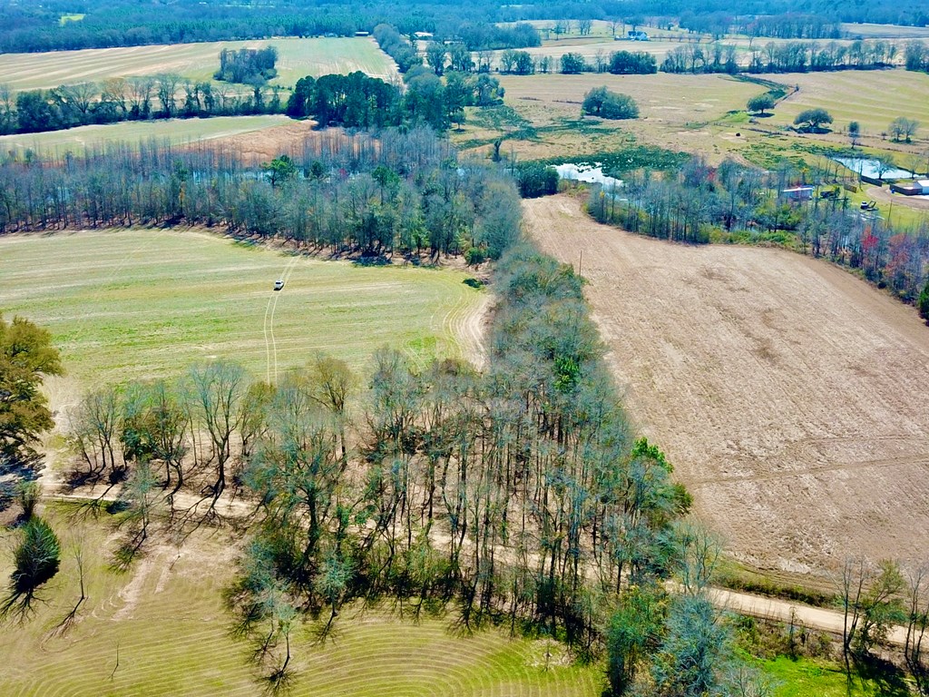 4.9 Acres Grady Garner Rd, Slocomb, Alabama image 38