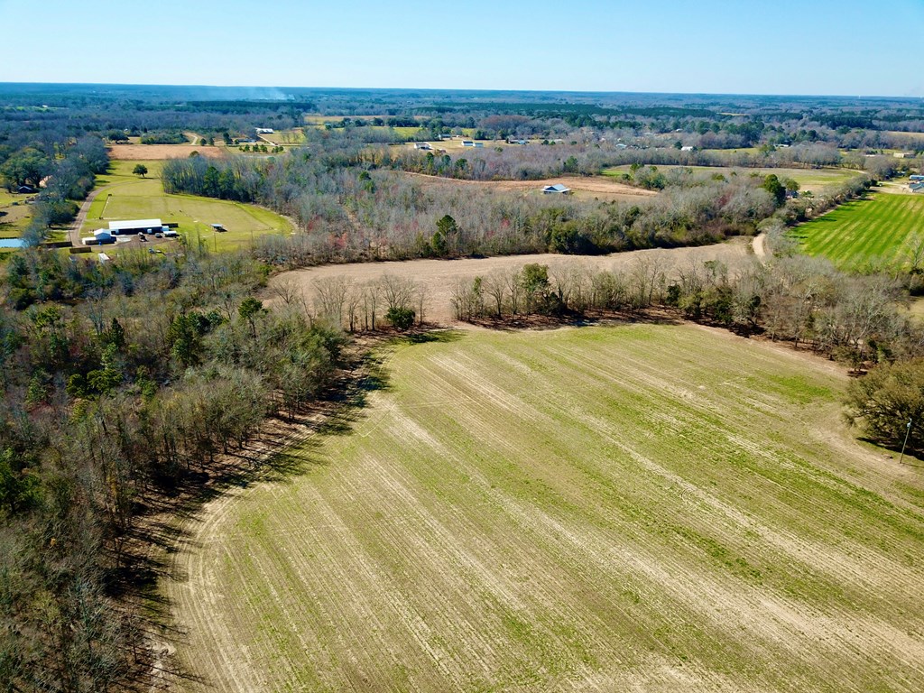 4.9 Acres Grady Garner Rd, Slocomb, Alabama image 47