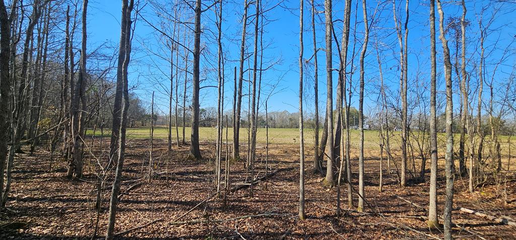 4.9 Acres Grady Garner Rd, Slocomb, Alabama image 30