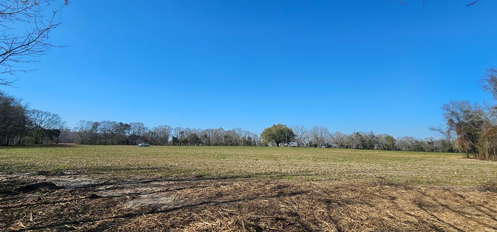 4.9 Acres Grady Garner Rd, Slocomb, Alabama image 35