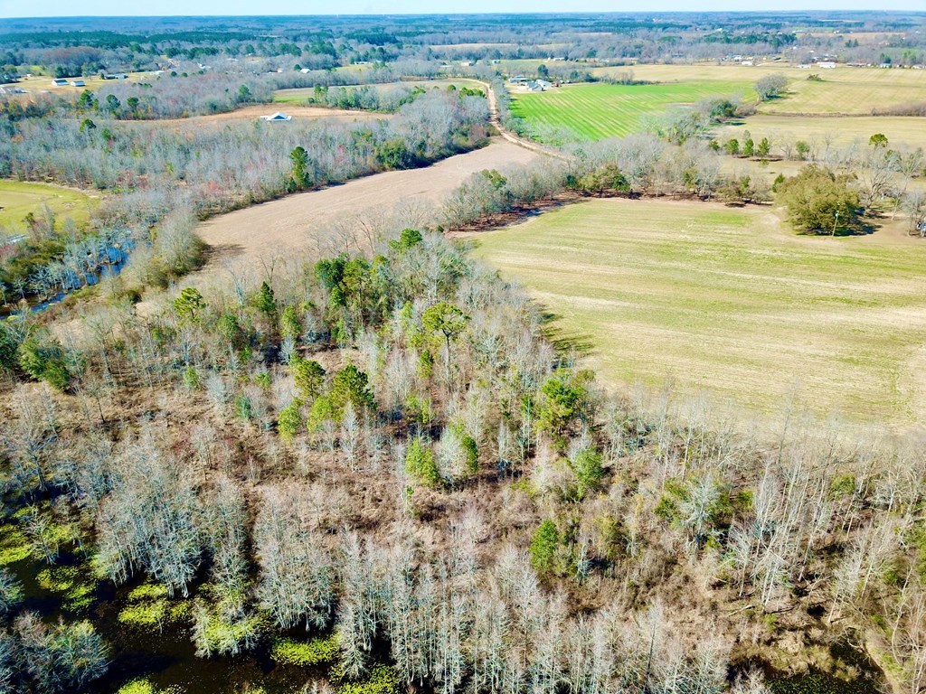 4.9 Acres Grady Garner Rd, Slocomb, Alabama image 46