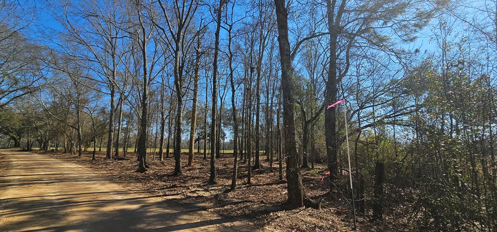 4.9 Acres Grady Garner Rd, Slocomb, Alabama image 11