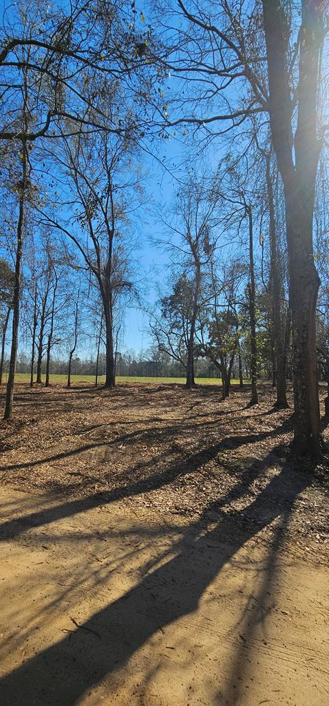 4.9 Acres Grady Garner Rd, Slocomb, Alabama image 29