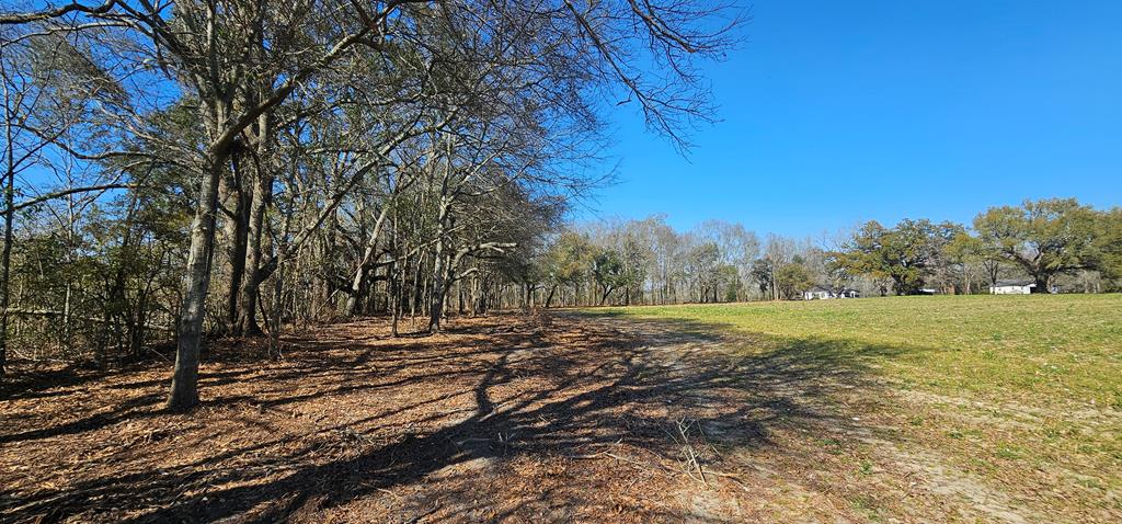 4.9 Acres Grady Garner Rd, Slocomb, Alabama image 10