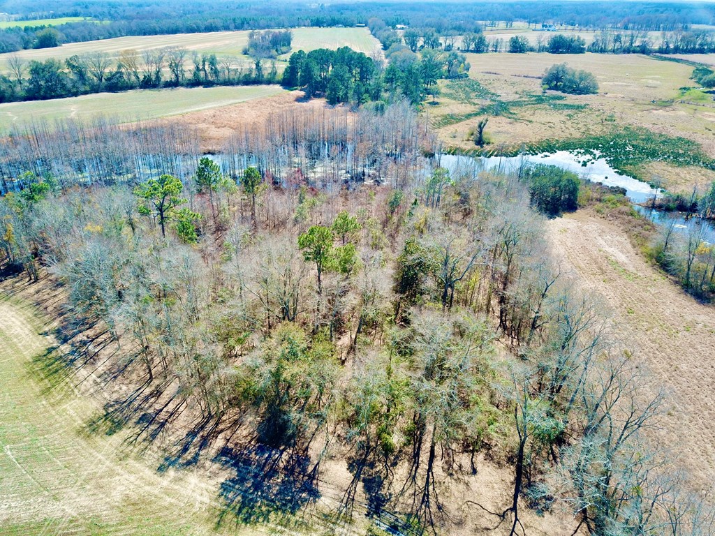 4.9 Acres Grady Garner Rd, Slocomb, Alabama image 41