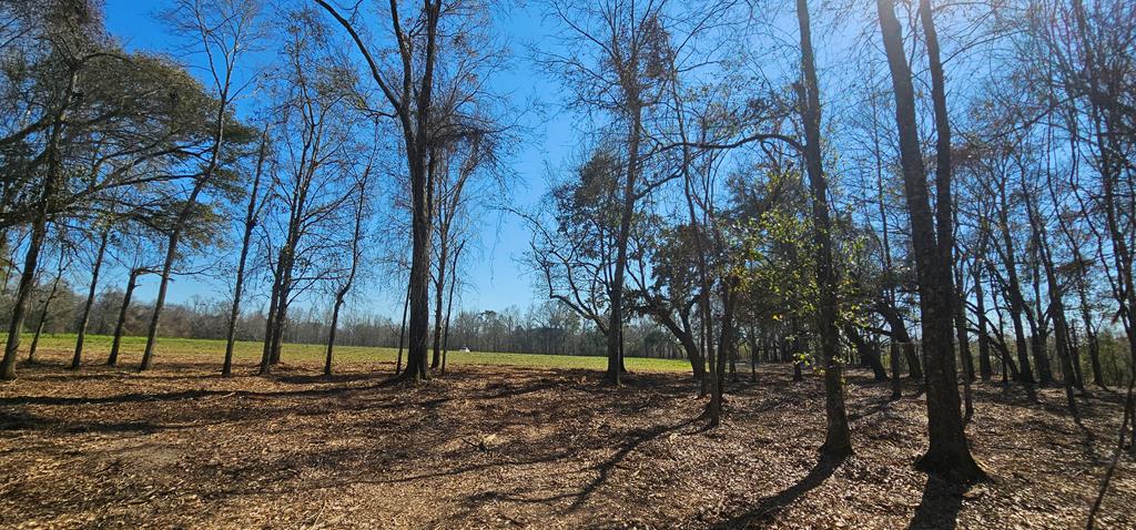 4.9 Acres Grady Garner Rd, Slocomb, Alabama image 16