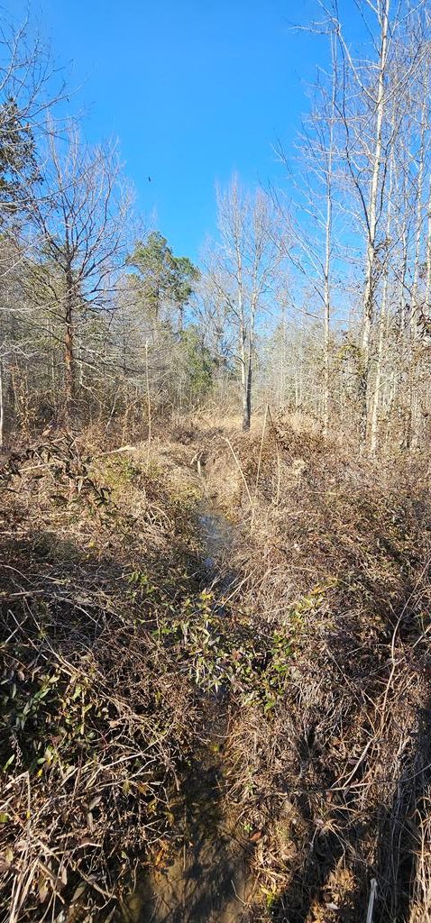 4.9 Acres Grady Garner Rd, Slocomb, Alabama image 24