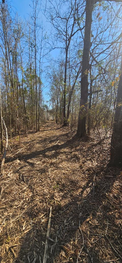 4.9 Acres Grady Garner Rd, Slocomb, Alabama image 20