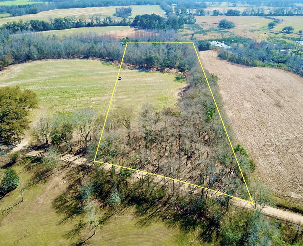 4.9 Acres Grady Garner Rd, Slocomb, Alabama image 1