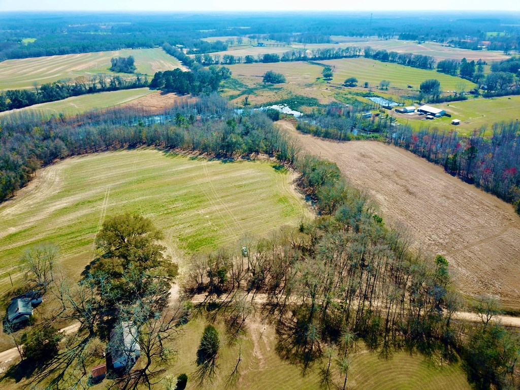 4.9 Acres Grady Garner Rd, Slocomb, Alabama image 49