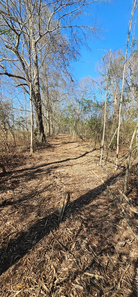 4.9 Acres Grady Garner Rd, Slocomb, Alabama image 19