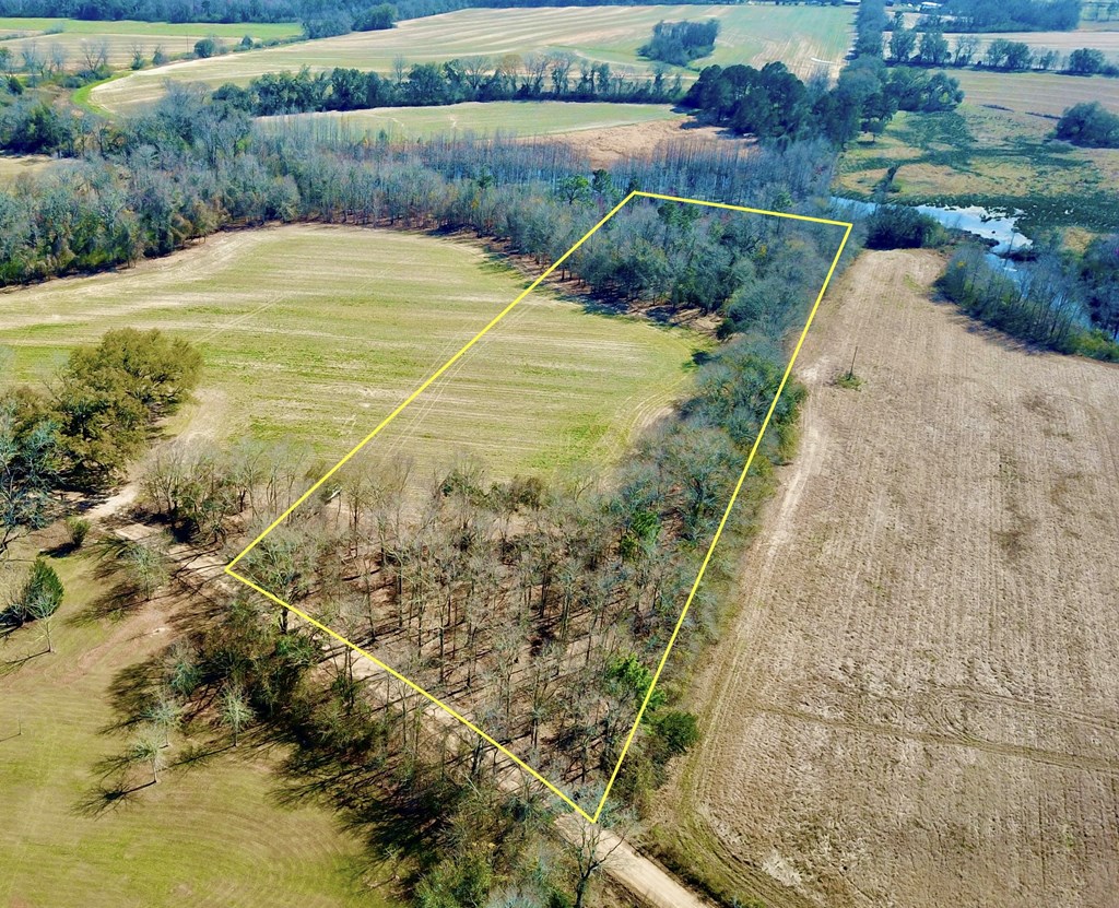 4.9 Acres Grady Garner Rd, Slocomb, Alabama image 3