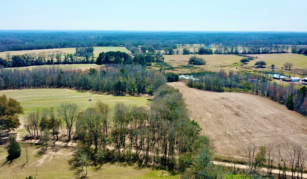 4.9 Acres Grady Garner Rd, Slocomb, Alabama image 39