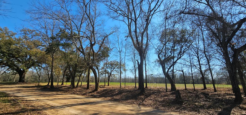 4.9 Acres Grady Garner Rd, Slocomb, Alabama image 6