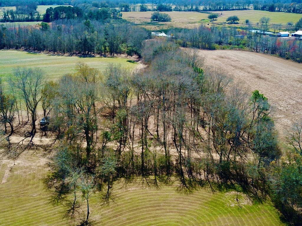 4.9 Acres Grady Garner Rd, Slocomb, Alabama image 37